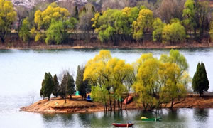 2018High拍懷柔全民行攝活動(dòng)